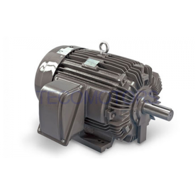 TECO NEMA General  Purpose Motors